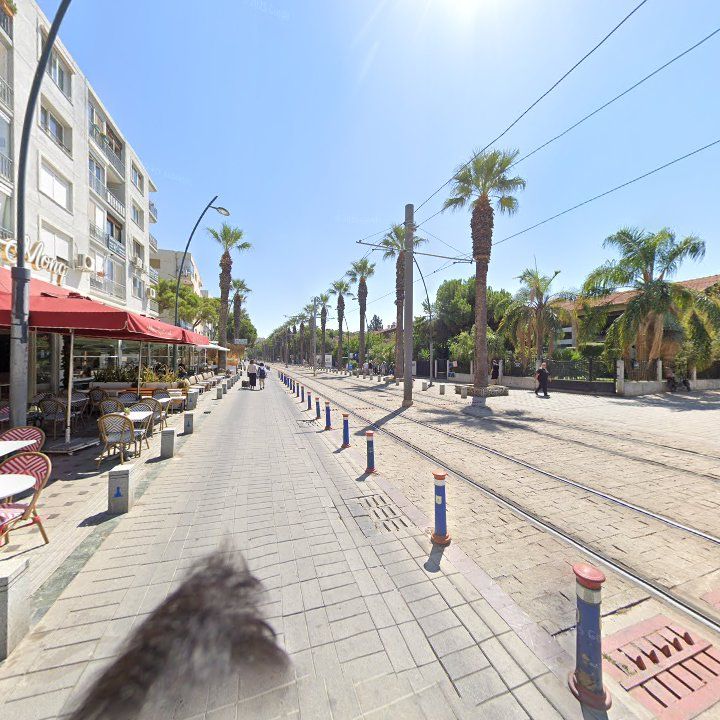 Fotoğraf 11