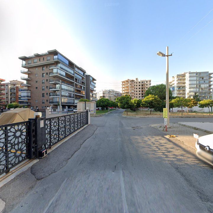 Fotoğraf 10