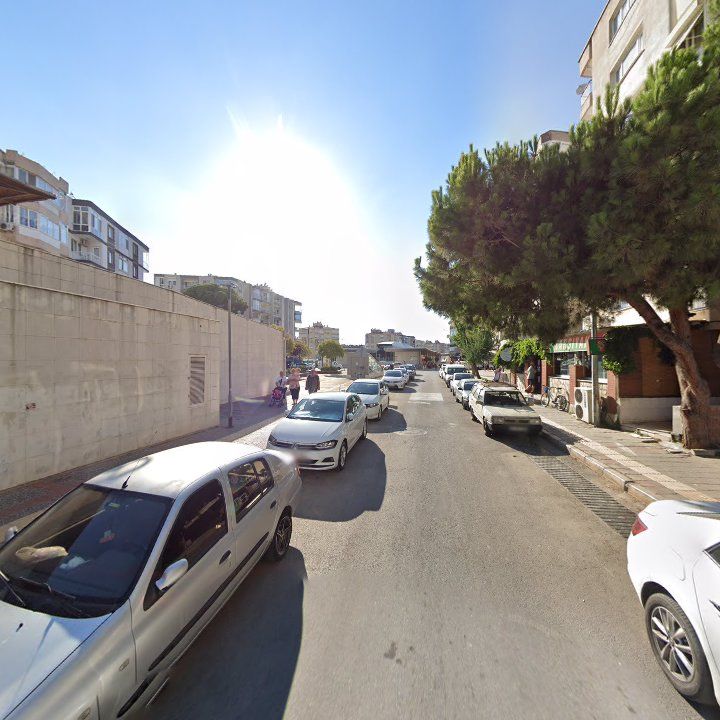 Fotoğraf 7