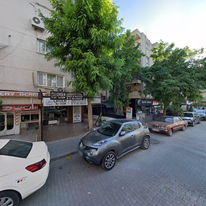 Fotoğraf 10