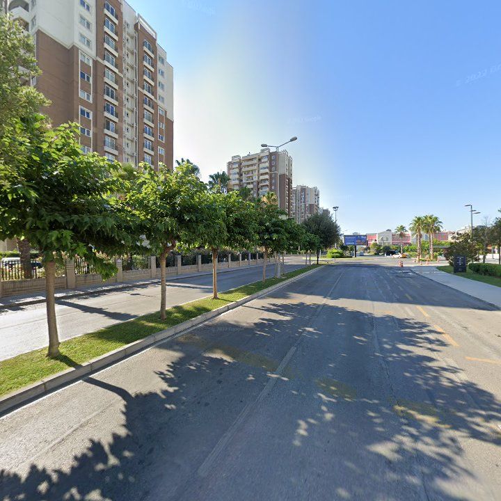 Fotoğraf 12