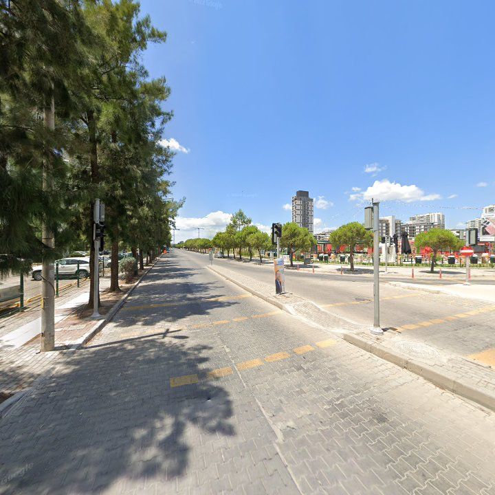 Fotoğraf 12