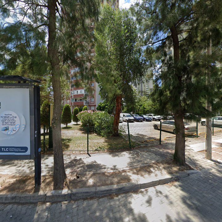Fotoğraf 11