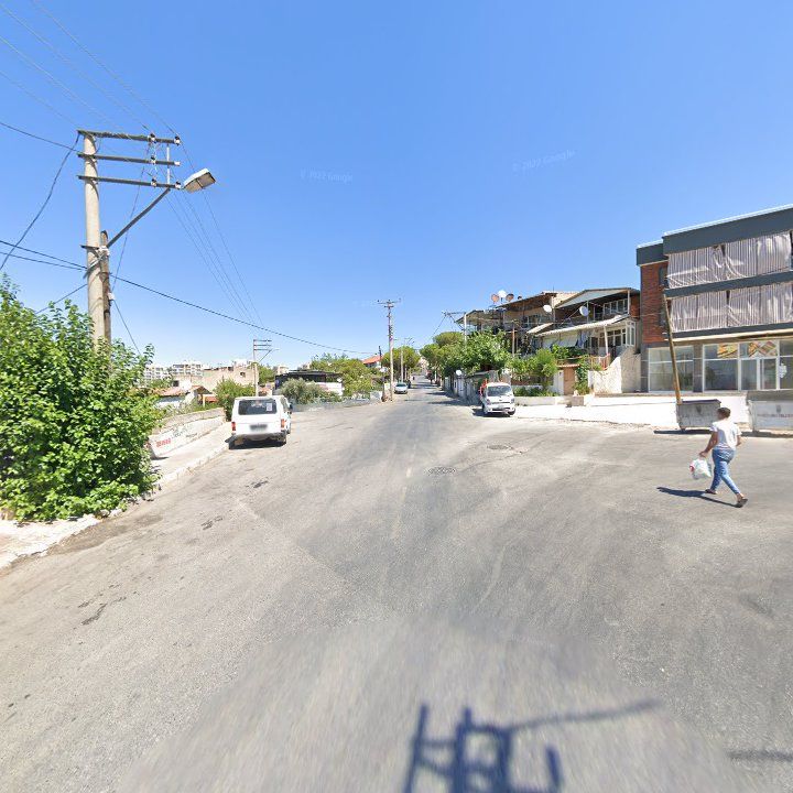 Fotoğraf 7