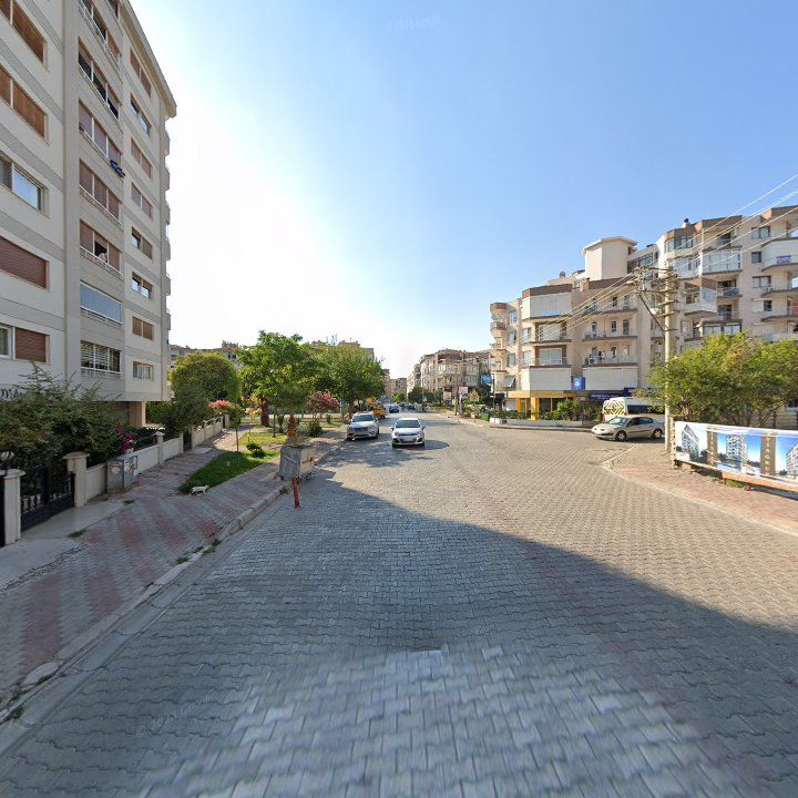Fotoğraf 11
