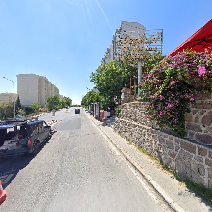Fotoğraf 11