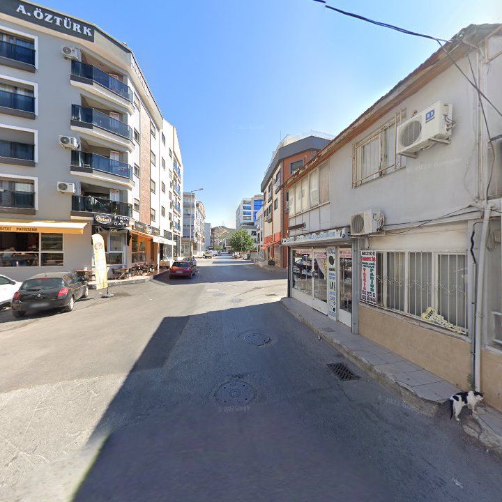 Fotoğraf 10