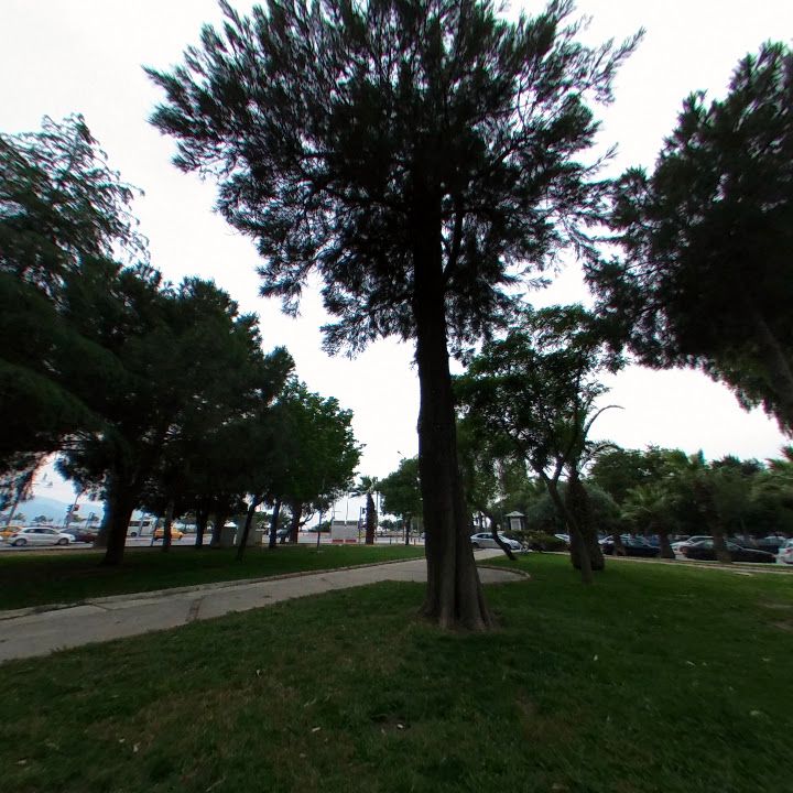 Fotoğraf 9