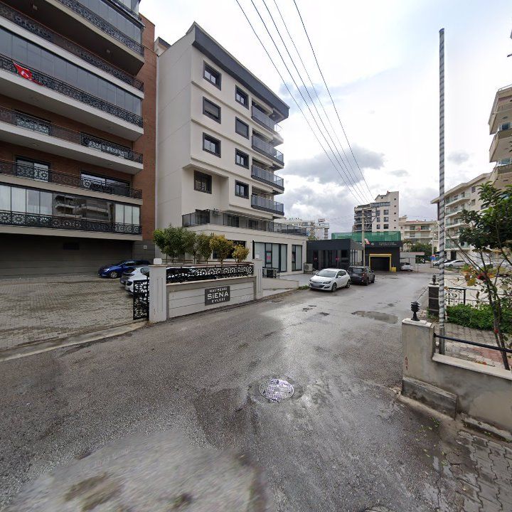 Fotoğraf 10