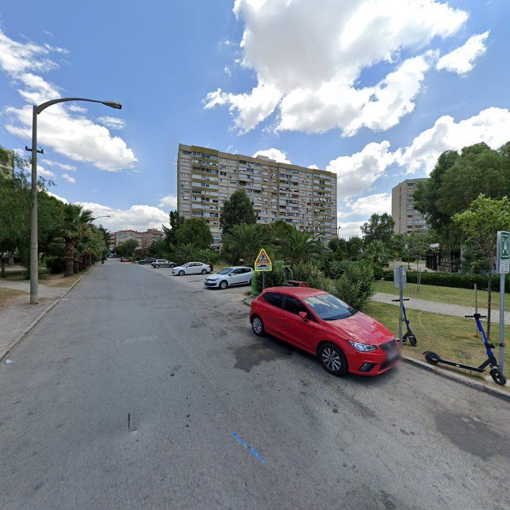 Fotoğraf 13