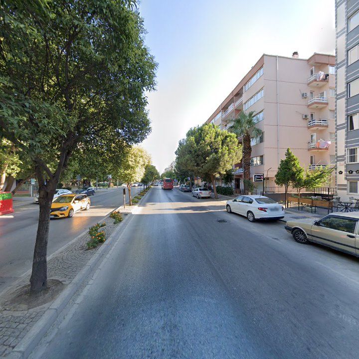 Fotoğraf 10