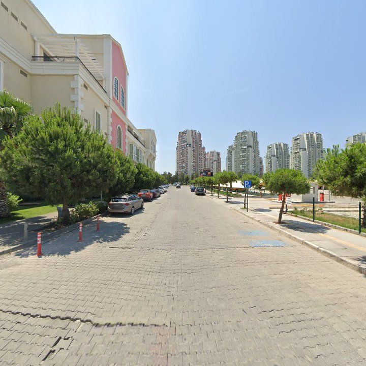 Fotoğraf 8