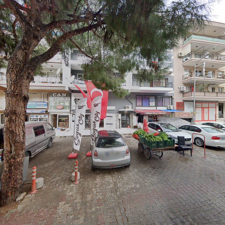 Fotoğraf 9