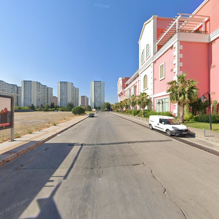 Fotoğraf 12