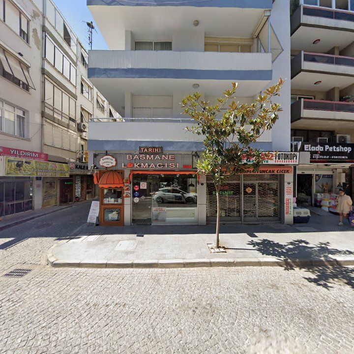Fotoğraf 8