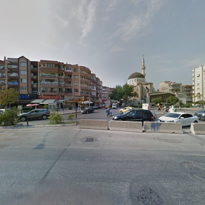 Fotoğraf 12
