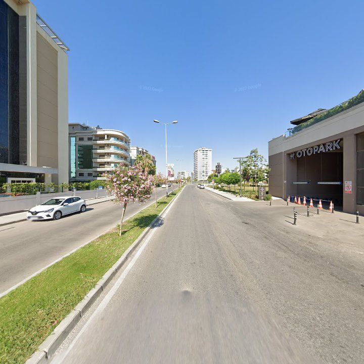 Fotoğraf 13