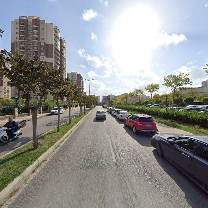 Fotoğraf 14