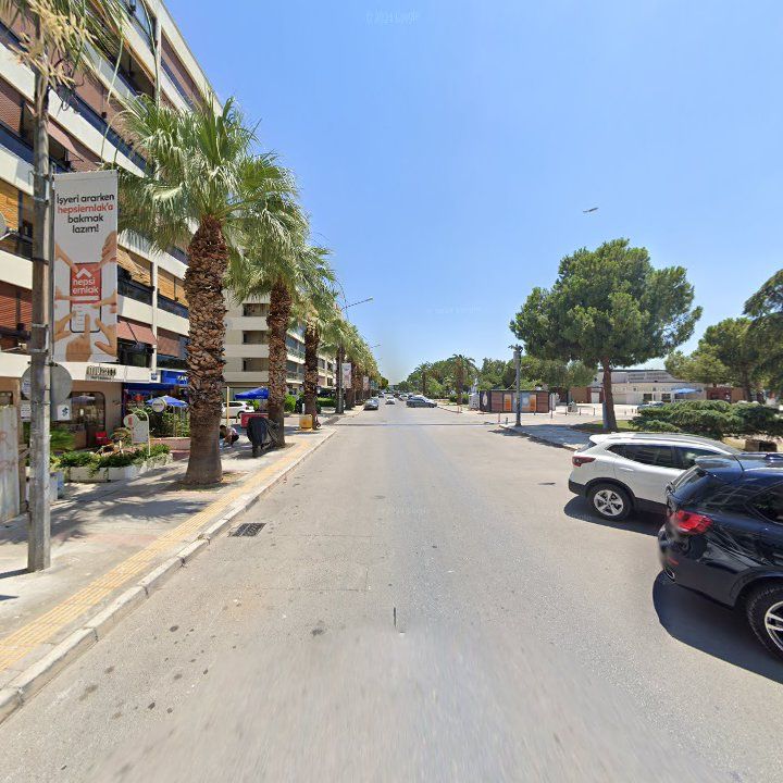 Fotoğraf 11
