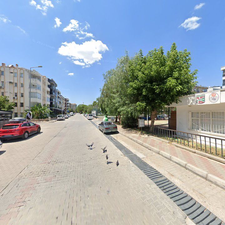Fotoğraf 6