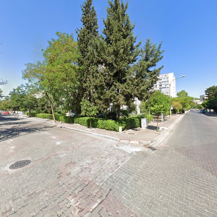 Fotoğraf 12