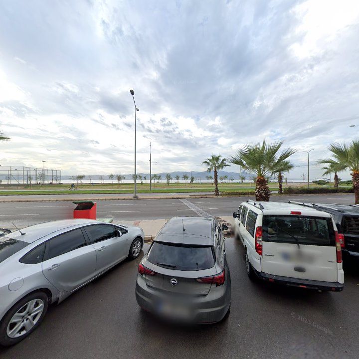 Fotoğraf 12