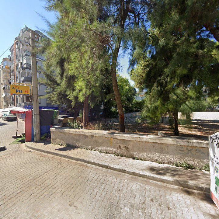 Fotoğraf 3