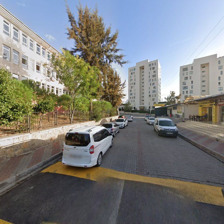 Fotoğraf 11
