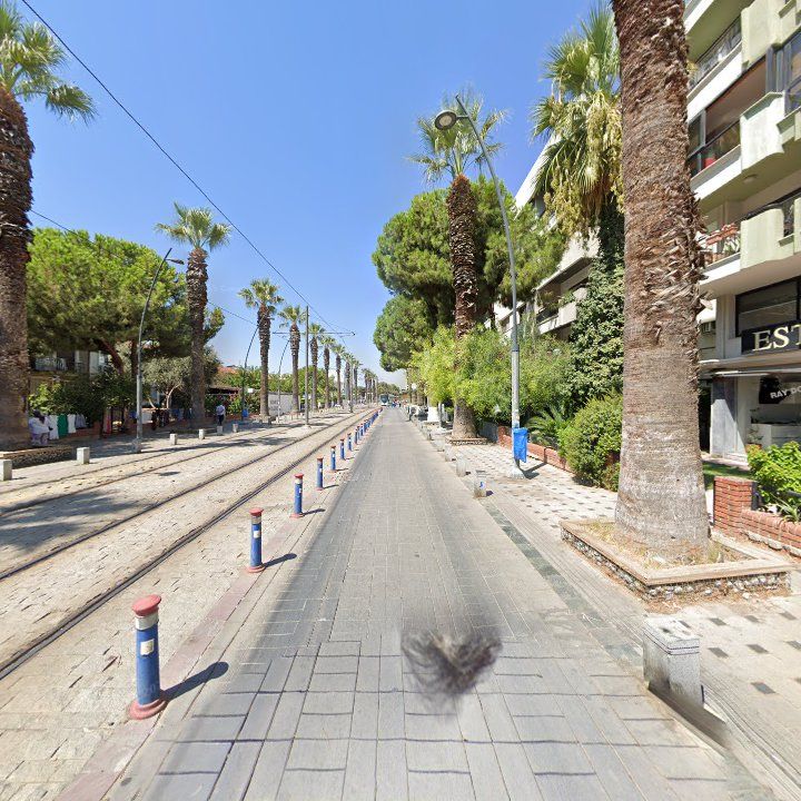 Fotoğraf 12