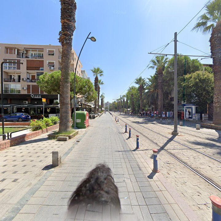 Fotoğraf 14