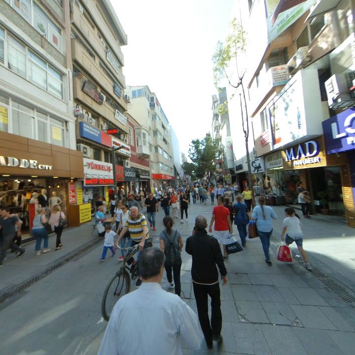 Fotoğraf 7