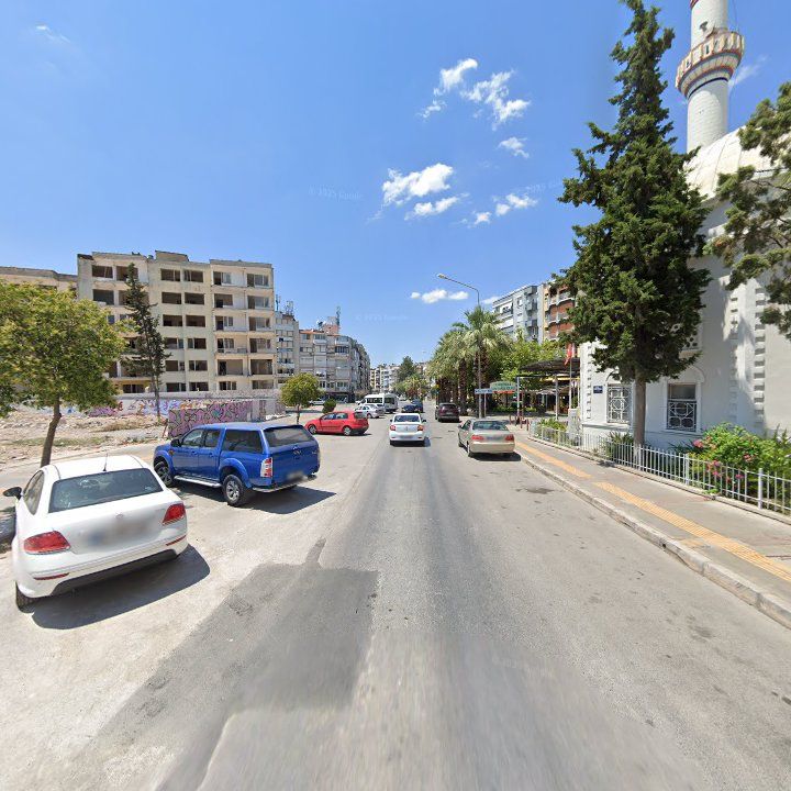 Fotoğraf 10