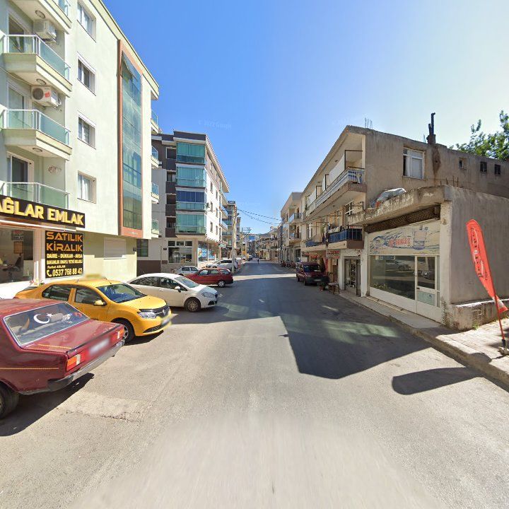 Fotoğraf 11