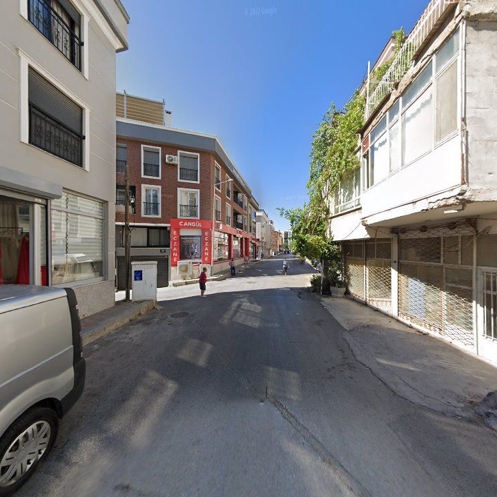 Fotoğraf 13