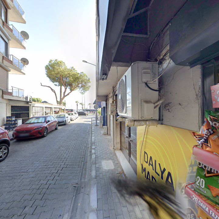Fotoğraf 7