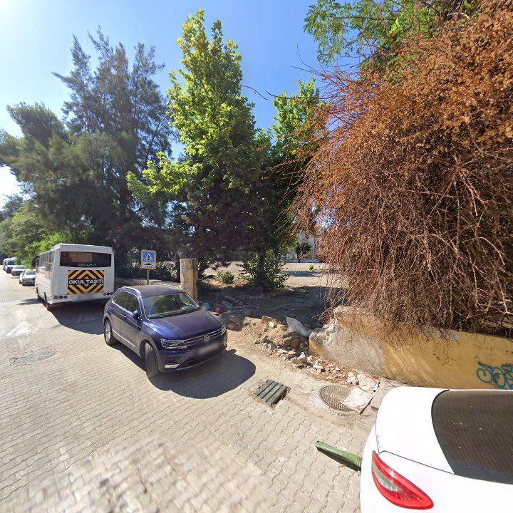 Fotoğraf 8