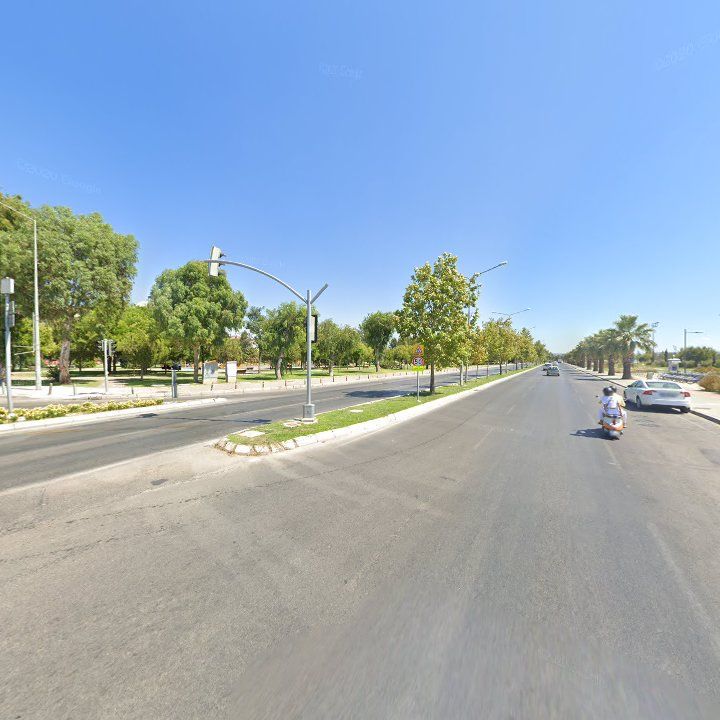 Fotoğraf 12