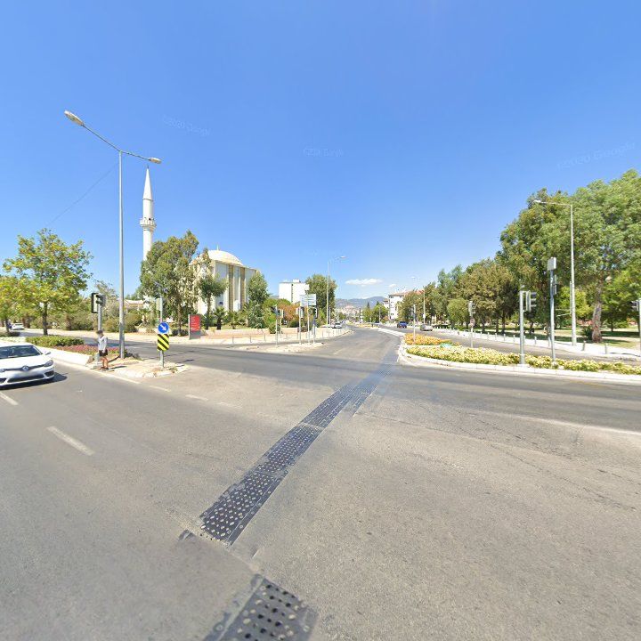 Fotoğraf 11