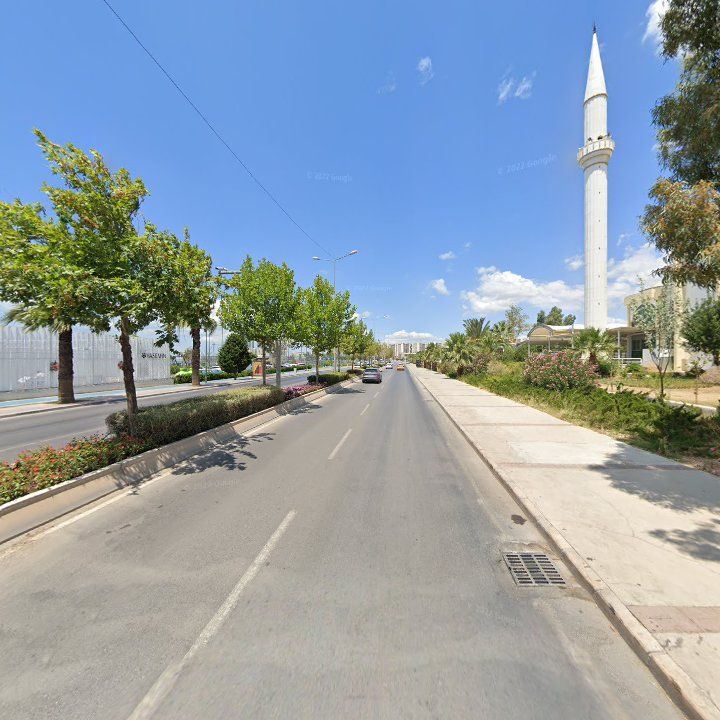Fotoğraf 3