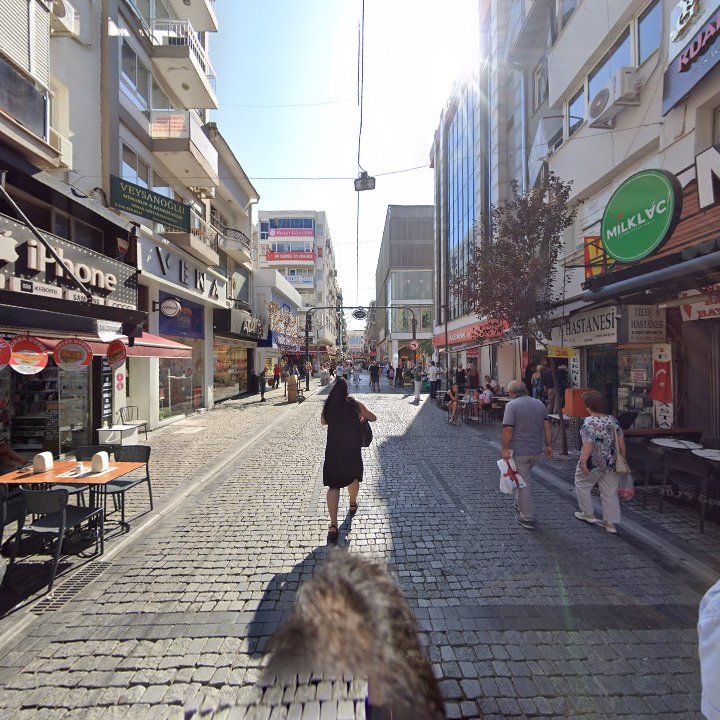 Fotoğraf 7
