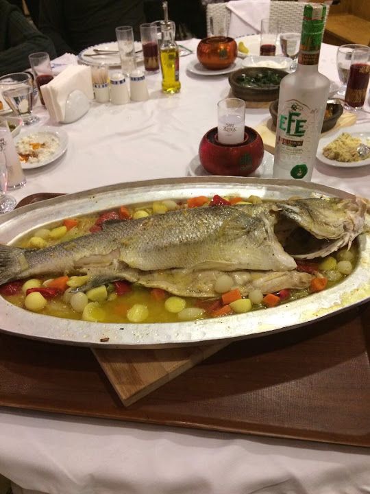 Fotoğraf 24