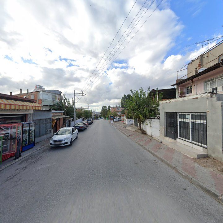 Fotoğraf 5