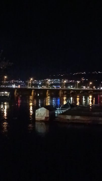 Fotoğraf 30