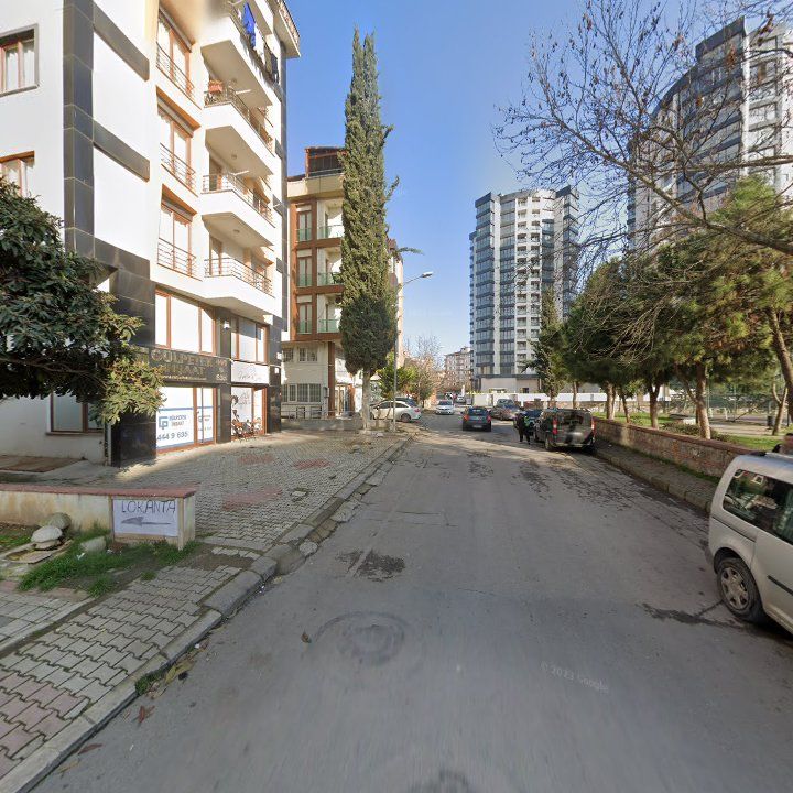 Fotoğraf 7