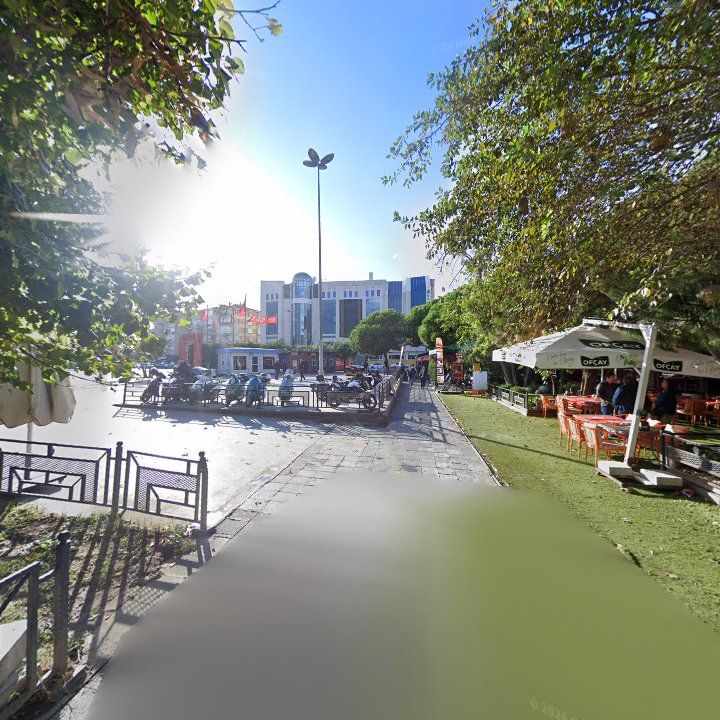 Fotoğraf 15