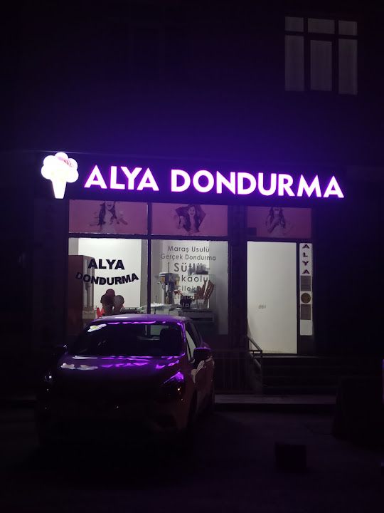 ALYA DONDURMA SOĞANLIK