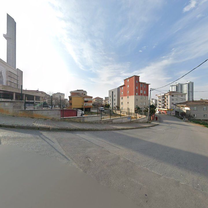 Fotoğraf 11