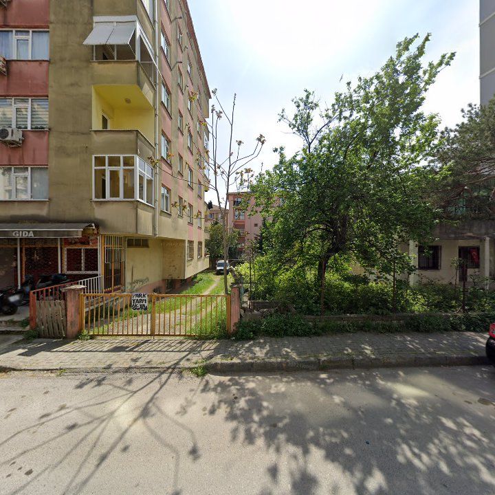 Fotoğraf 7
