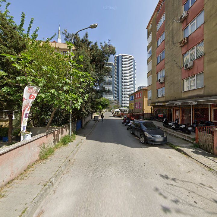 Fotoğraf 6