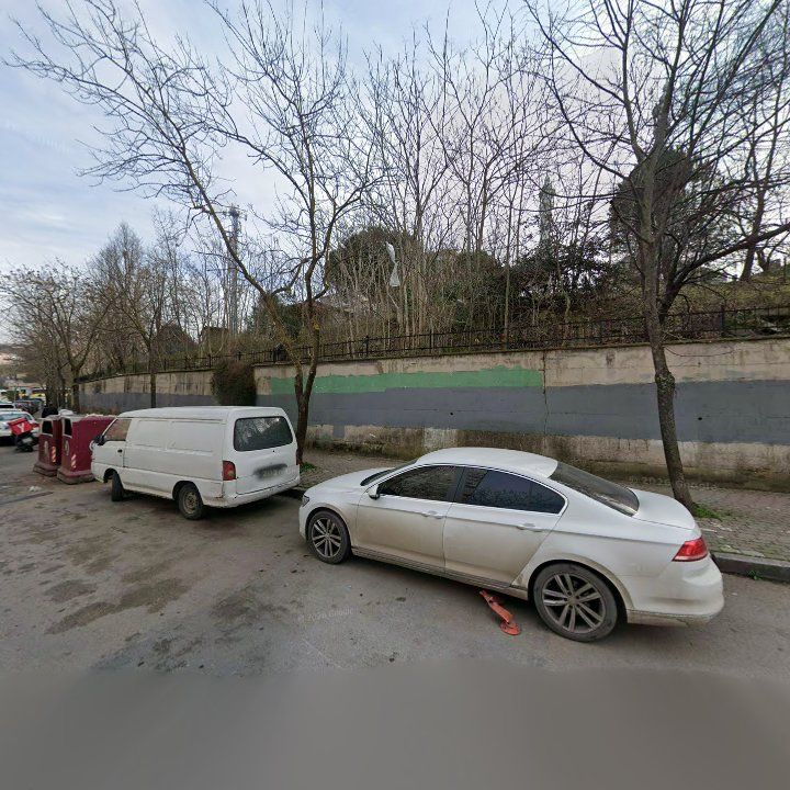 Fotoğraf 10